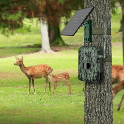 WildCast S8 – fotopułapka LIVE Full HD z panelem solarnym